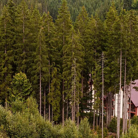 Karpatski & Hotel Bukovel