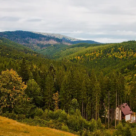 Hotel Karpatski & 2*