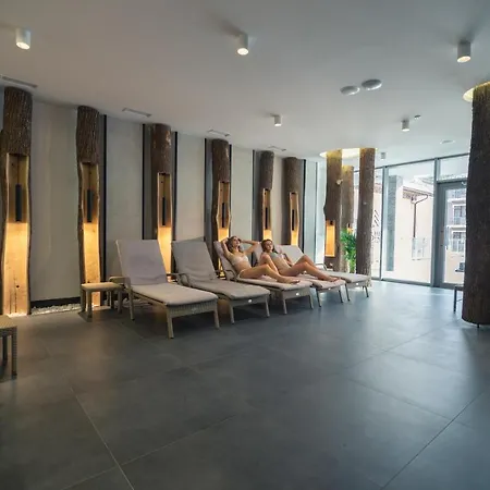 Hotel Karpatski &